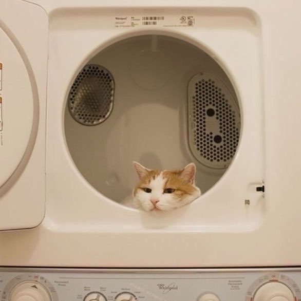 cceverything_'s tweet image. »»Que hacer si un compañero(a) se siente mal?
         -By🦋