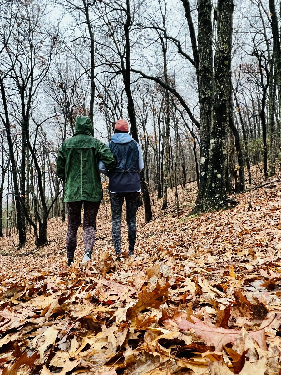 Johanna Schu tweet media