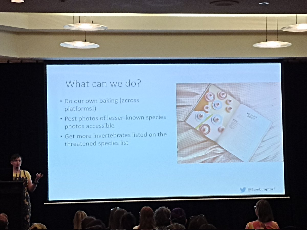 Dr Lily van Eeden tweet media