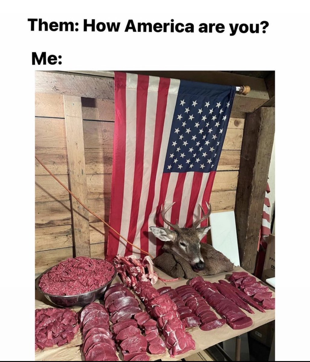 ladderstands's tweet photo. Sums it up nicely! 🇺🇸🦌

#american #americanflag #deermeat #venison #freshmeat #fieldtotable #fillthefreezer #huntingseason #soleprovider #homesteading #preserving https://t.co/uK9u9VmYtX