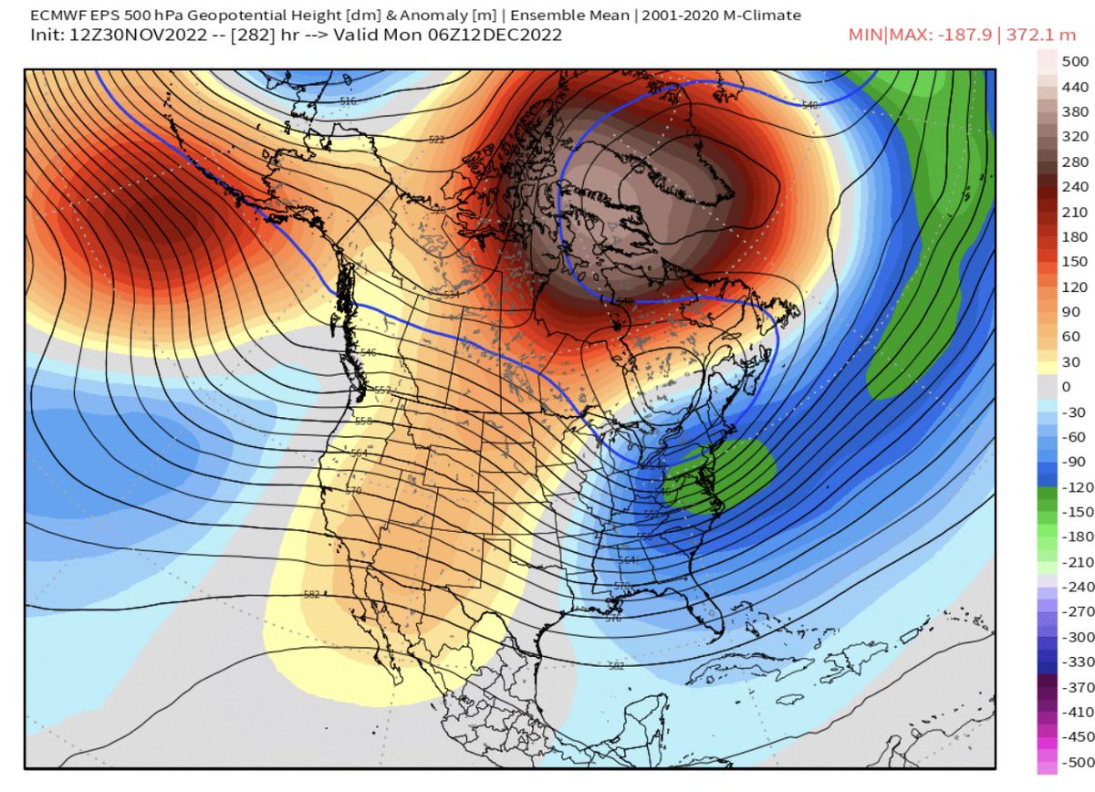 Anthony M tweet media