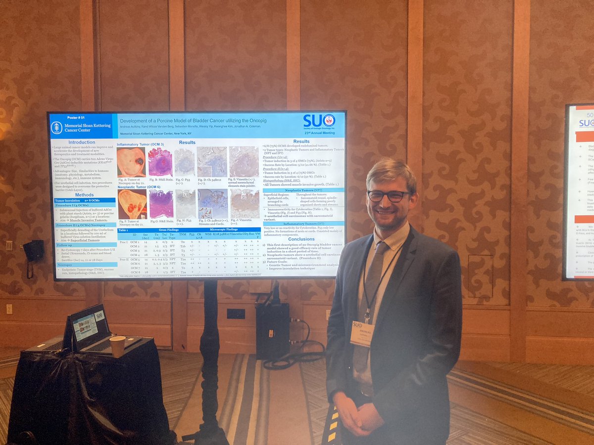 A.Aulitzky tweet media