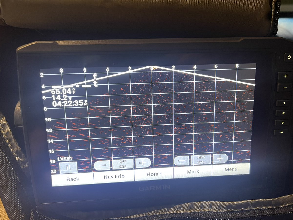 Matt Yanick tweet media