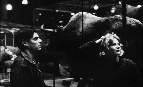 literlandweb1's tweet photo. "El valor de las cosas no está 
en el tiempo que duran 
sino en la intensidad con que 
suceden. 
Por eso existen momentos inolvidables,
cosas inexplicables 
y personas incomparables".

Fernando Pessoa
🎬"La Jetée", Chris Marker (1962) https://t.co/s5WWeVpLud