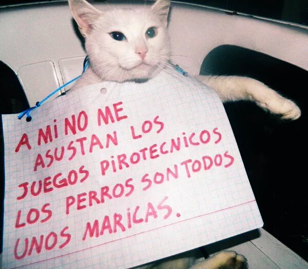 Julián Toro 🇨🇴🇵🇸 tweet media