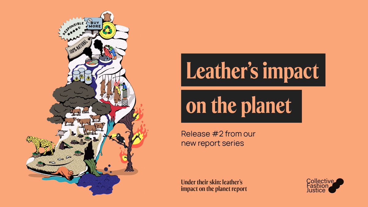 NicholasDCarter's tweet photo. Leather is tied to intensive &amp; inefficient land use, in many cases deforestation, and almost always biodiversity loss, eutrophication, chemical use, pollution, water scarcity &amp; emissions. 

I was co-author on this:
🐄 NEW REPORT by @Co_Fash_Justice https://t.co/D9mhCPyVMp

🧵 https://t.co/BH3kCjmwTr