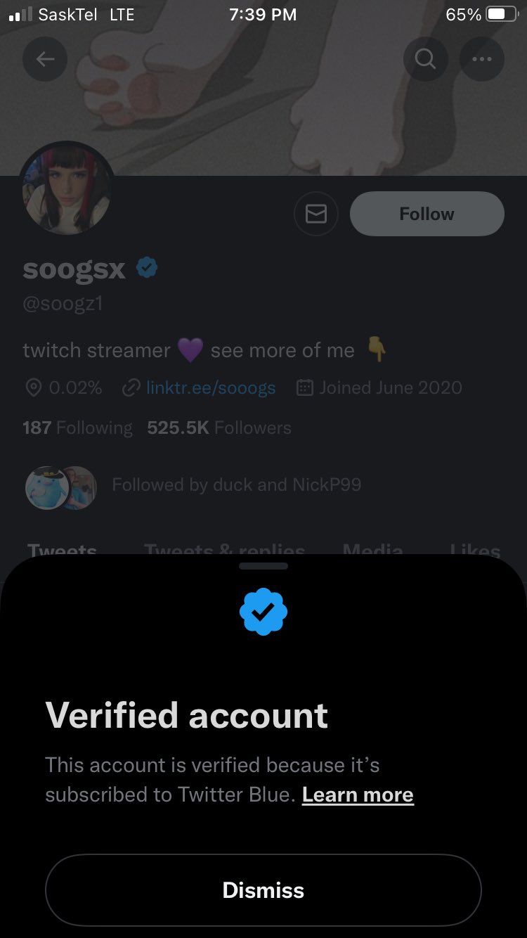 Anthony 🇨🇦 on Twitter: "@HaydenTHFC @Michael86734844 @AngeIicat @soogz1