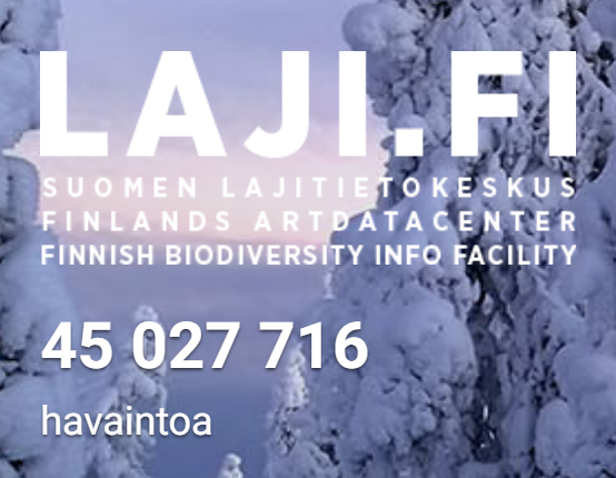 KariLahti1's tweet photo. Joulukalenteerin ensimmäinen luukku on avattu! 45 miljonaa lajihavaintoa @lajitieto keskus! Rauhaisaa Joulun odotusta!! https://t.co/cnP34zCWJL