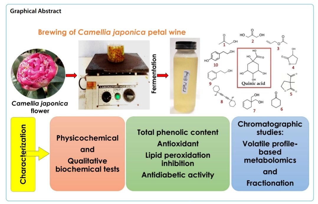 the_majumder's tweet photo. Camellia japonica flower wine. Standardised brewing method, research on its biochemistry and metabolomics are available in this published article. @BioMedCentral #fppn #bmc #Researchpaper
Open access: https://t.co/MwPg11Ta8L https://t.co/q7wJmGeCv9
