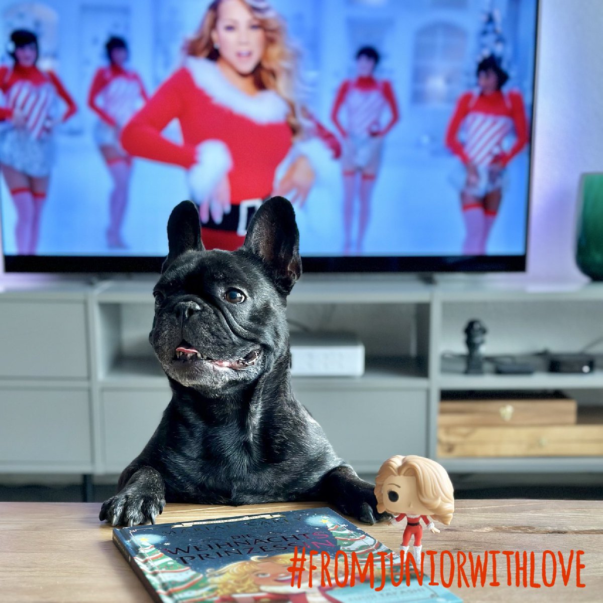 juniorwithlove's tweet photo. My dad is ready for Christmas 🎄 he loves @mariahcarey and is ready for the Mariah Season 💕 So, I’m ready too ❤️ Much love, Junior - - - - - - - - - - - - - - - - - - - #fromjuniorwithlove #mariahcarey #AllIWantForChristmasIsYou #FrenchBulldog #MariahSZN #1 https://t.co/5mSf32Nf04