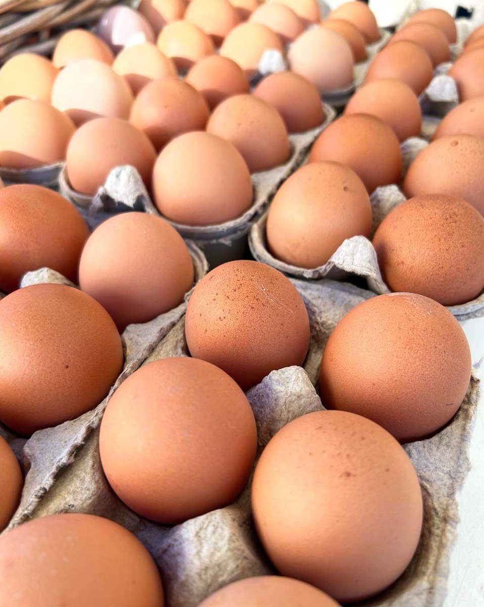 • Put all your eggs in one  basket •

It's Thursday and that can only mean one thing, today, you can put all your eggs in one basket! Especially when they are as fresh as these! Find us around Wetherby Town Hall from 8:30am-3pm.

#marketday #wetherbymarket #market #fresheggs