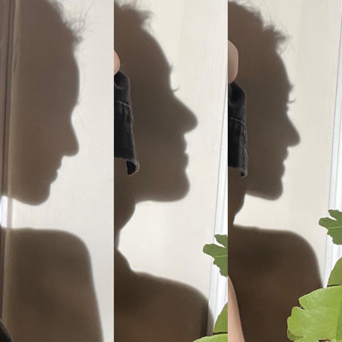wndmrymxff's tweet photo. even irene’s shadow is prettier than me 🥹 https://t.co/JwEIxmnRGm