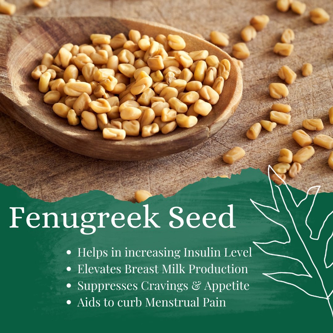 indiherbs_llc's tweet photo. Fenugreek Seed has been used for Medicinal & other purposes since ancient times. It helps in Indigestion, lowers Cholesterol, and aids in conceivement & pregnancy.
#Indiherbs #fenugreekseed #fenugreekseeds #fenugreeks #fenugreekmurah #fenugreekoil #fenugreekleaves #Deache https://t.co/KHvO8Co9Jo