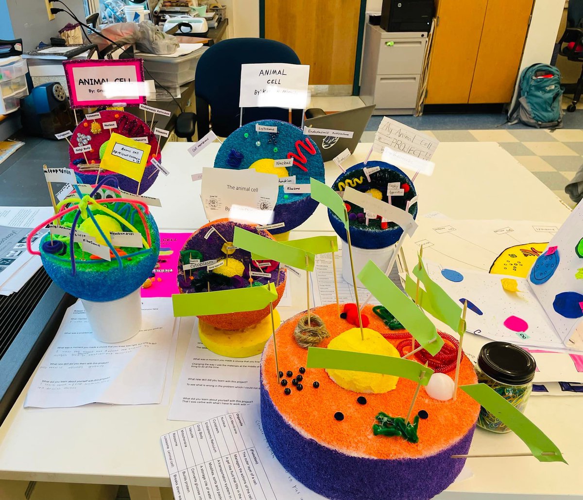 PyneArtsLPS's tweet photo. Check out these awesome plant &amp; animal cell models from our sixth grade science classes! Options included digital model, poster, essay, 3D model, or cell analogy. There are some masterpieces in the mix, including a SpongeBob cell analogy, Krusty Krab and all! #steameducation https://t.co/5MDDhtIvOp