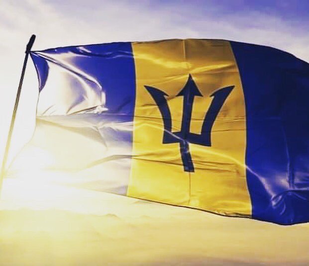 DIsBakeryCater's tweet photo. Happy Independence Barbados https://t.co/gYJK4wvR2g
