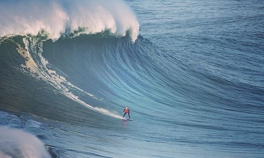 Kelly Bayer Rosmarin tweet media