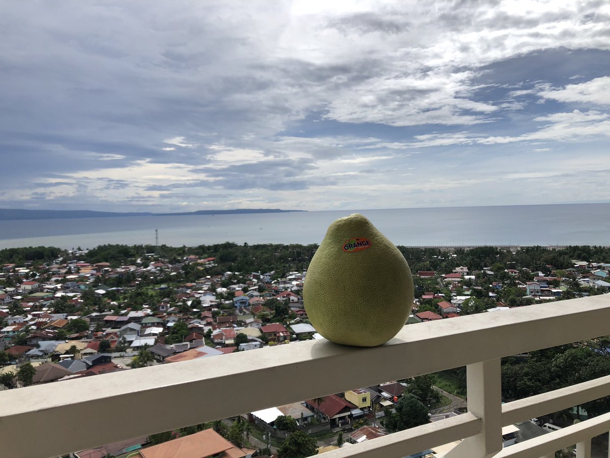 mabuhayhappily's tweet photo. 果物のある暮らし🍊
フィリピンに来たばかりの頃/こればかり食べてた時期があります/よく観るとトトロみたいで可愛いかったので久しぶりに購入/210 ペソ
それではいただきます😋
#Philippines #Davao #fluits #Pomelo https://t.co/3c3YVepNv6