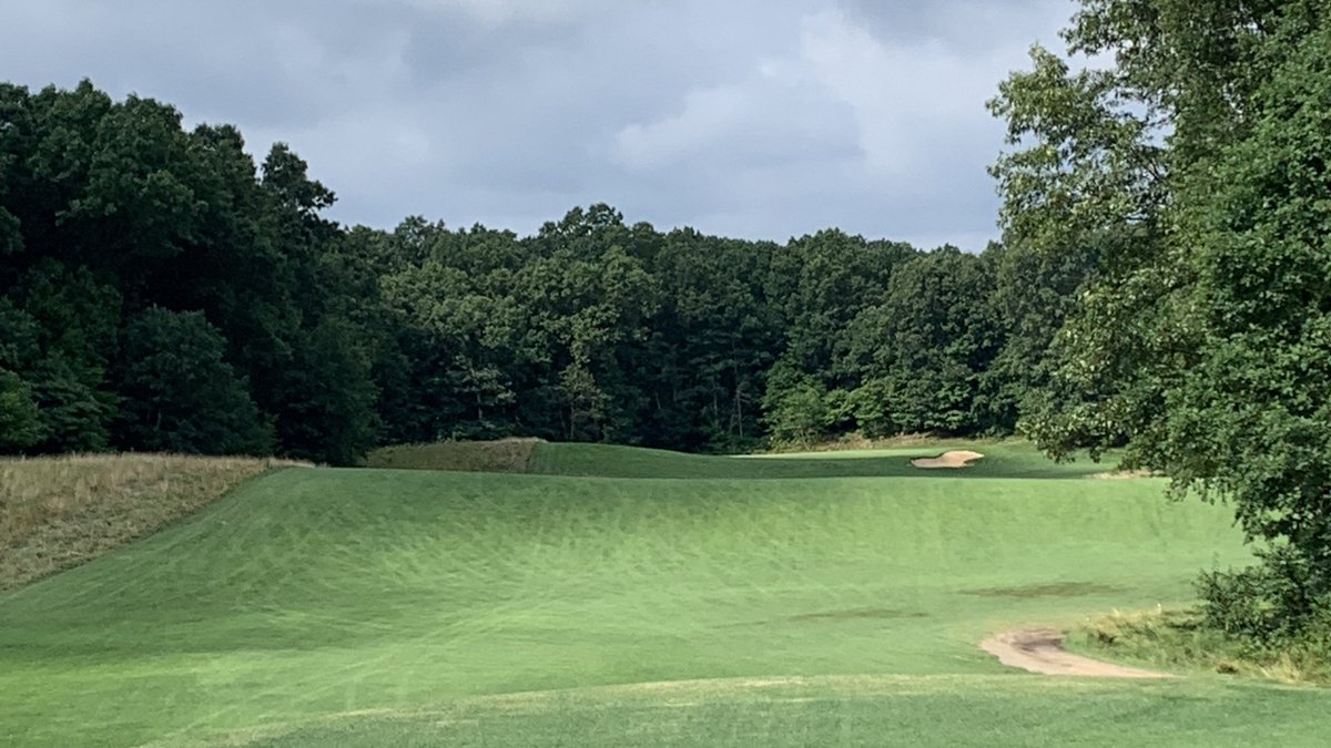 Steve M. tweet media