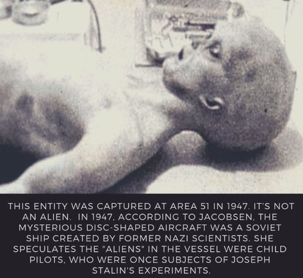 FredsFarm247's tweet photo. Did you know this?👇🏼👇🏼 https://t.co/X3a8IcuAYy