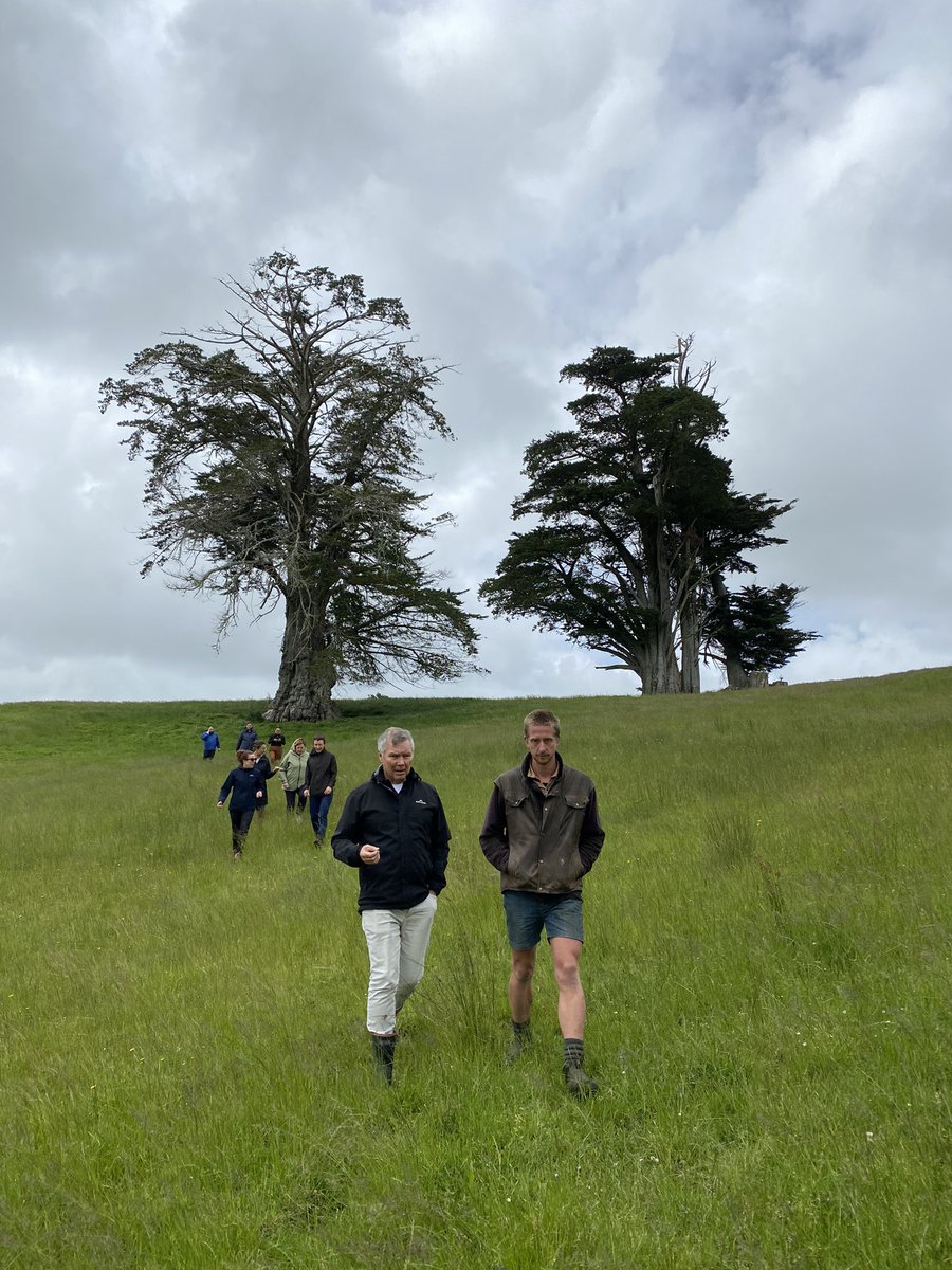 Fav shots from our visit today to Kaipara Moana restoration field, Helensville where Jordan & team are doing amazing work on his land. In addition to fencing and planting, he’s been working on an alternative to grass trials to reduce farm nitrogen inputs and Carbon balance.