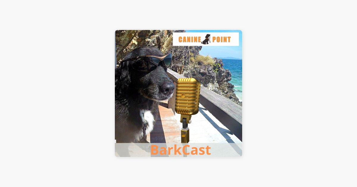 🐕 BARKCAST - NEW EPISODE OUT NOW! 🐕
Get it here: 👉 apple.co/2Wnq9Aa 
BarkCast deals with all things dog, from obedience, behaviour &amp; more. So if you have a question, get in touch!
#ThailandDogTrainer #BarkCast #DogTraining #DogHotel #phuketpodcast #shark13productions
