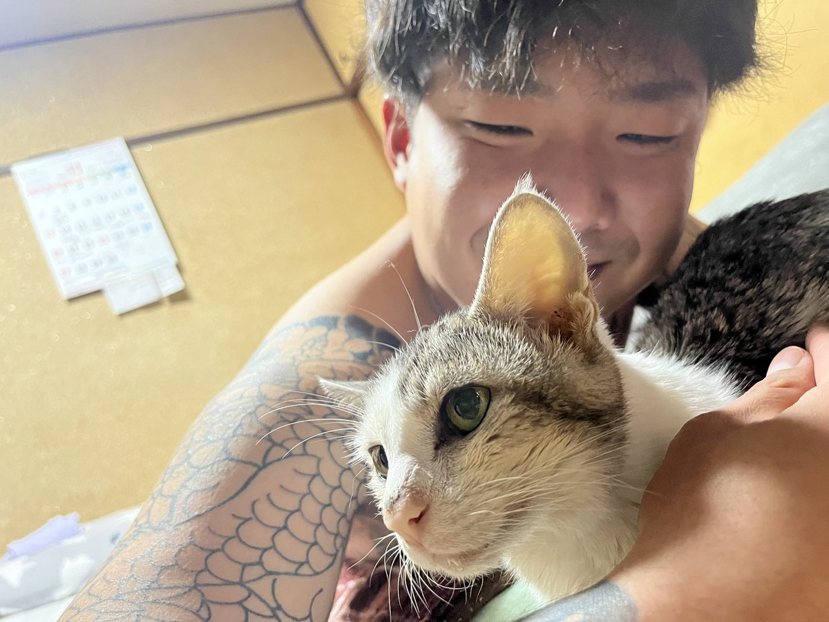 0308_R_'s tweet photo. わしの大好きなばななちゃん https://t.co/QwWx0hTKy3