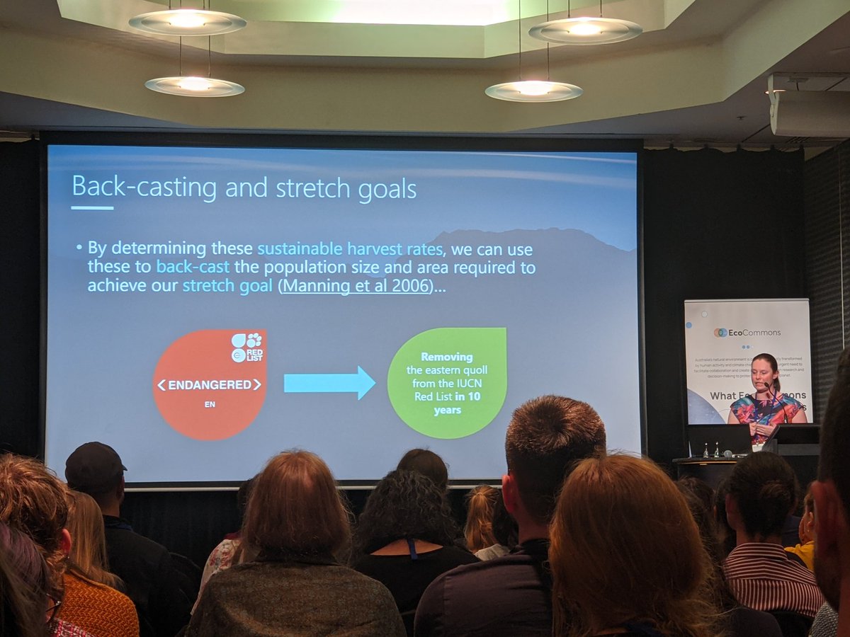 Kaylah Del Simone tweet media