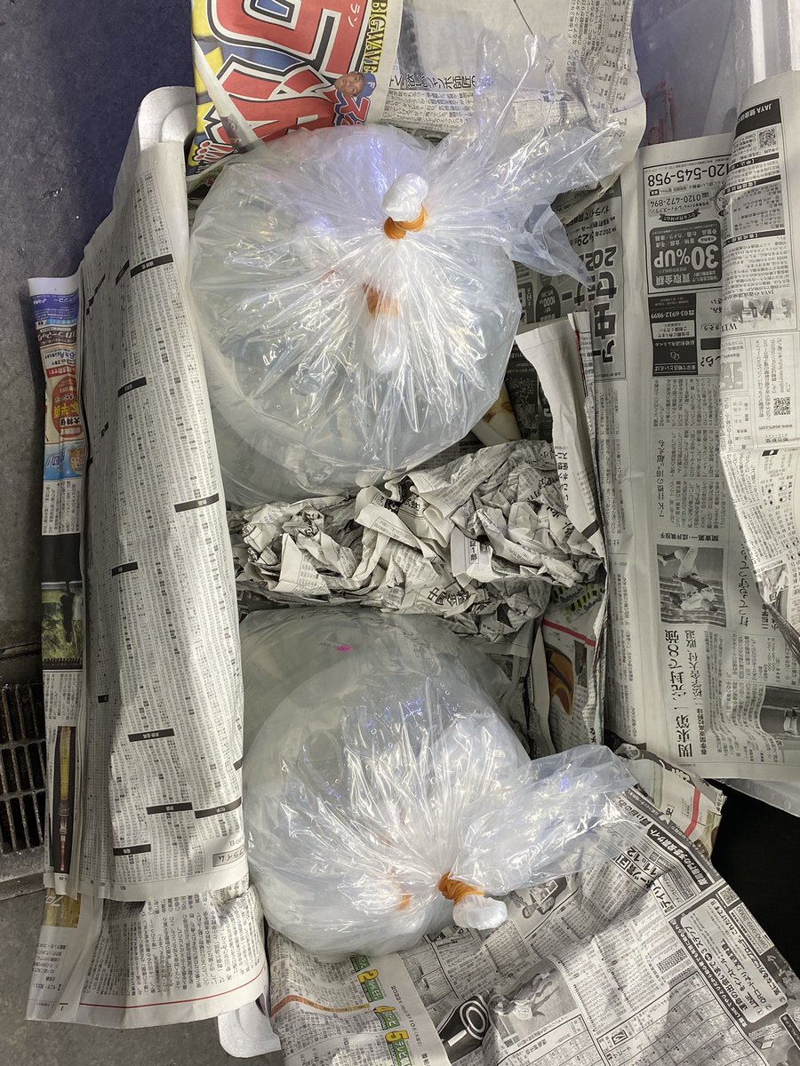 minatotropical's tweet image. 今、注目のアロワナONE RED(ファーストクラス)本日入荷しました。
今回だけの初入荷記念スペシャルプライスでご提供させて頂きます。
今回の2匹のみカレンダーがオマケでついて来ます。
仕上げて下さい‼️
#アロワナ　#ONERED