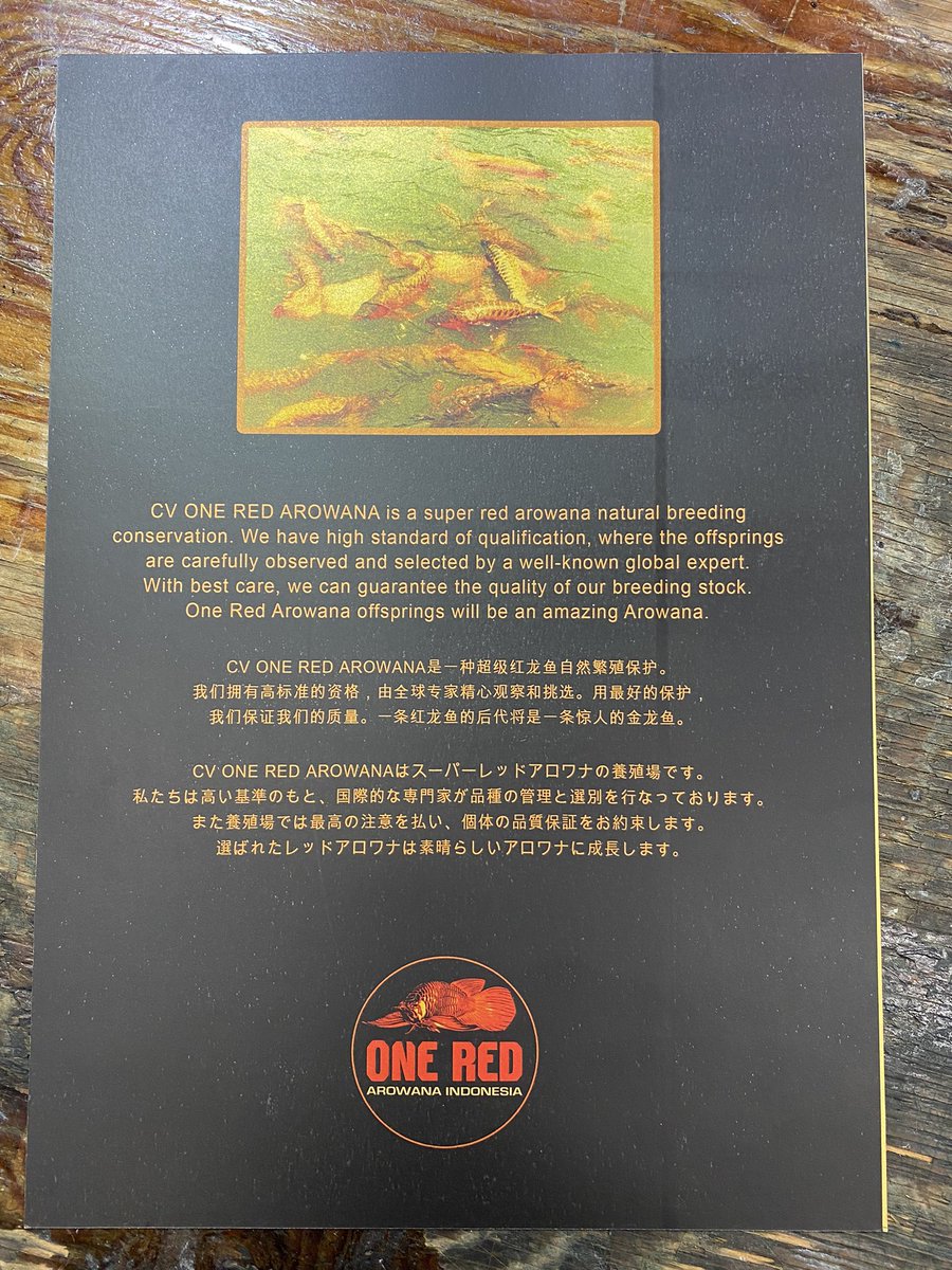 minatotropical's tweet image. 今、注目のアロワナONE RED(ファーストクラス)本日入荷しました。
今回だけの初入荷記念スペシャルプライスでご提供させて頂きます。
今回の2匹のみカレンダーがオマケでついて来ます。
仕上げて下さい‼️
#アロワナ　#ONERED
