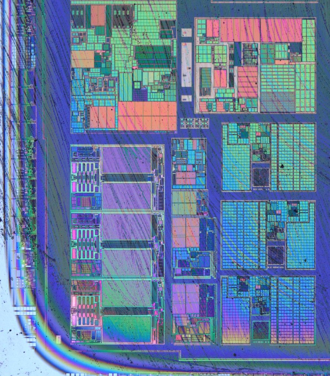 SeaLabLab's tweet image. Pic of the day: 20221130 contributed by @johnycsh #nofilternovember