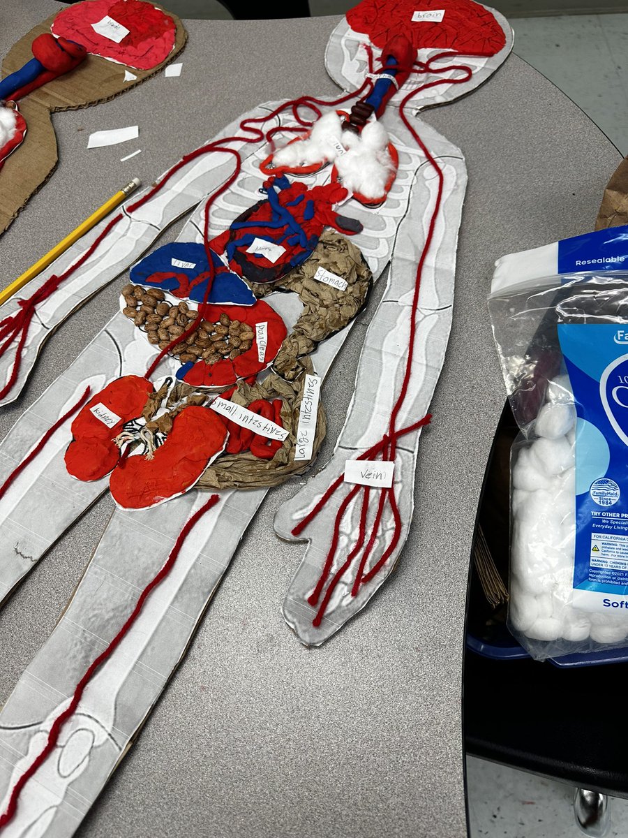 Today was ABSOLUTELY EPIC! Ss <a href="/DMMBES1/">DMMBES</a> <a href="/Area4SuptPBCSD/">North Region PBCSD</a> <a href="/PrinGranger/">Katrina Granger</a> did an OUTSTANDING job with their Human Body Exhibition 2022, it displayed their knowledge &amp; hard work. <a href="/pbscience4u/">Tom Salinsky</a> <a href="/evacwynar/">Eva Cwynar</a> <a href="/AdrienneHowar11/">Adrienne Howard</a> <a href="/GFsheffield/">Glenda Sheffield</a> <a href="/RitaCrummell81/">Sherrita Crummell</a> <a href="/Area4SuptPBCSD/">North Region PBCSD</a>