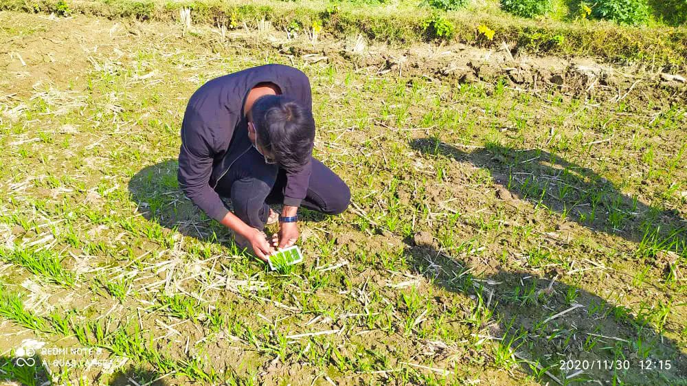 IFDC Asia (ARCHIVED) tweet media