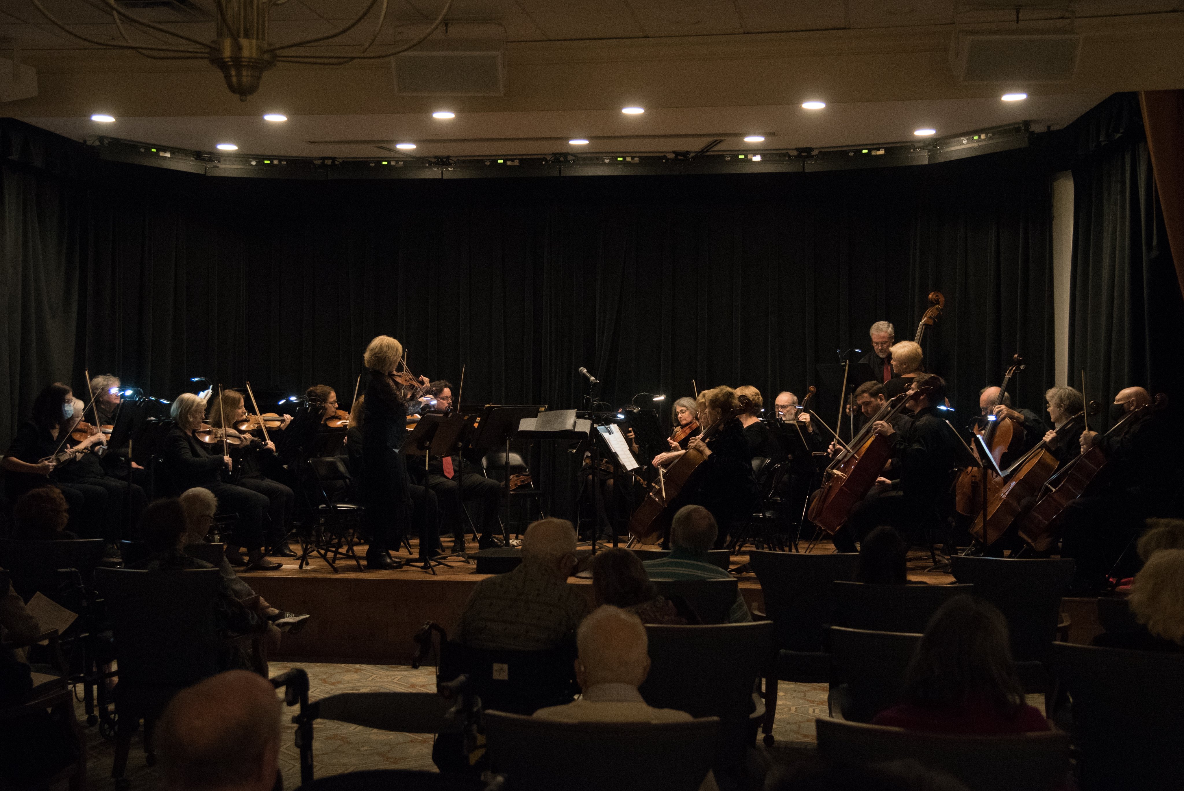 Strings Con Brio (stringsconbrio) / Twitter