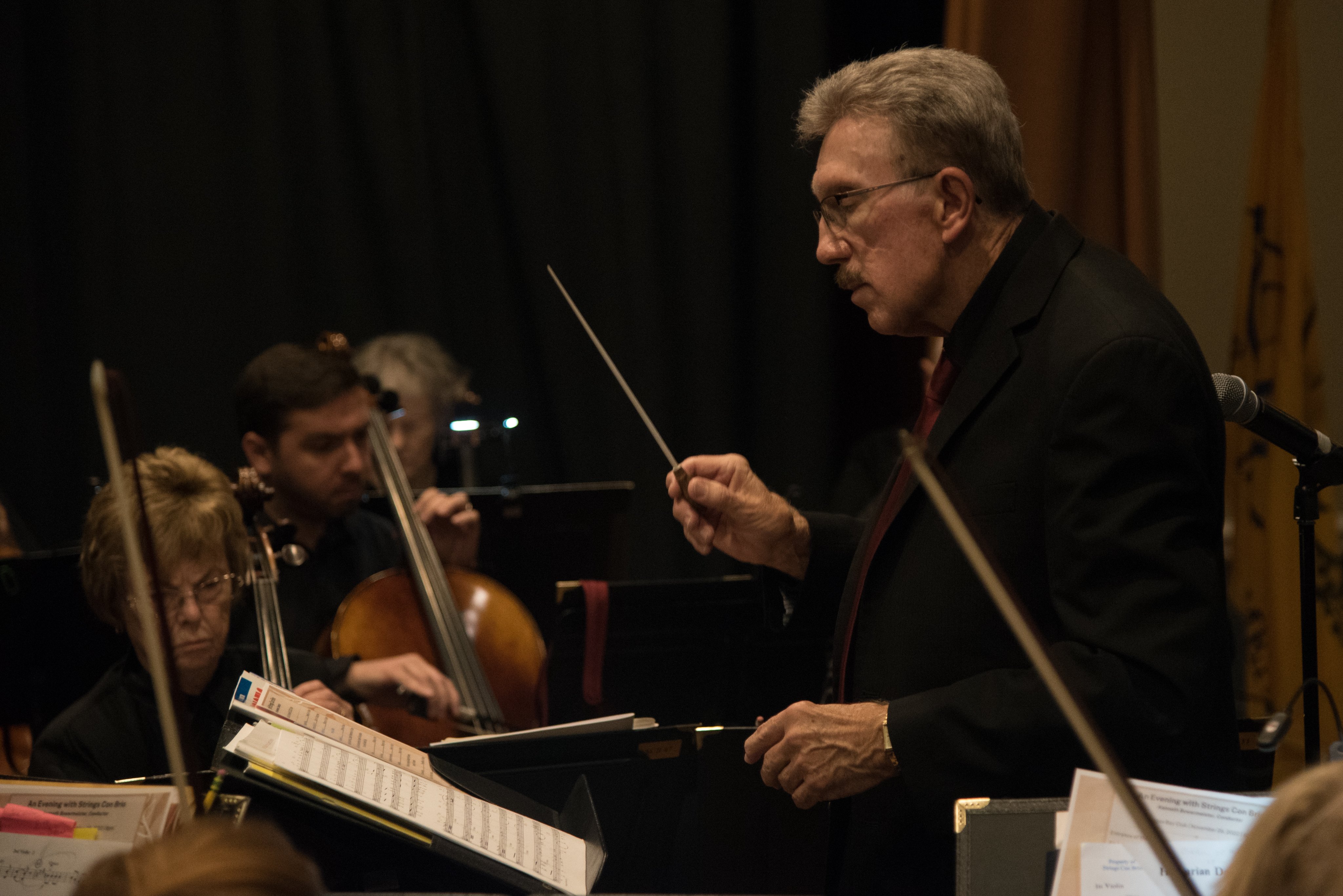 Strings Con Brio (stringsconbrio) / Twitter