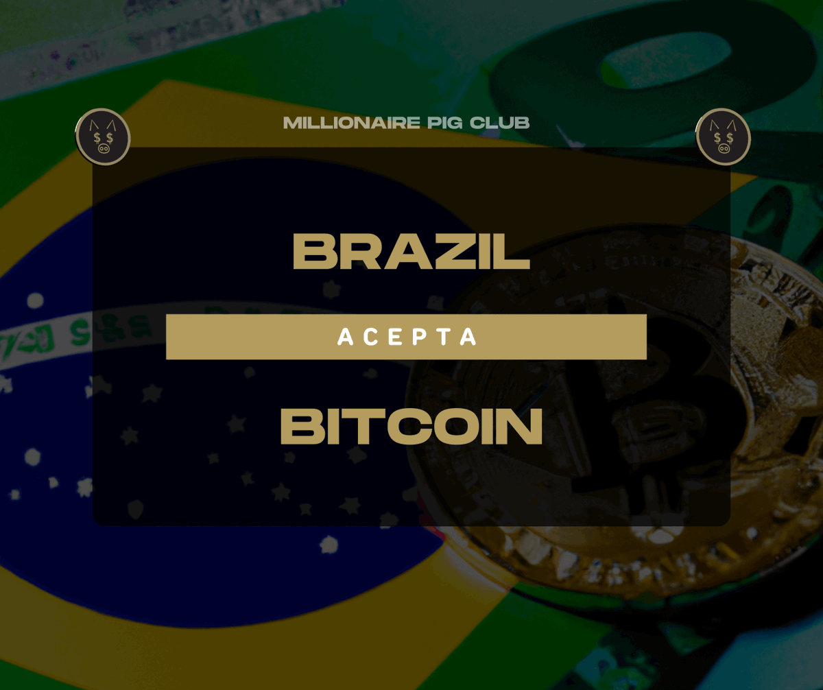 millionairepigc's tweet image. Brasil acaba de reconocer oficialmente Bitcoin como método de pago!  

news.millionairepigclub.com/brasil-acaba-d…

#Brasil #Brazil #news #Bitcoin #Noticias