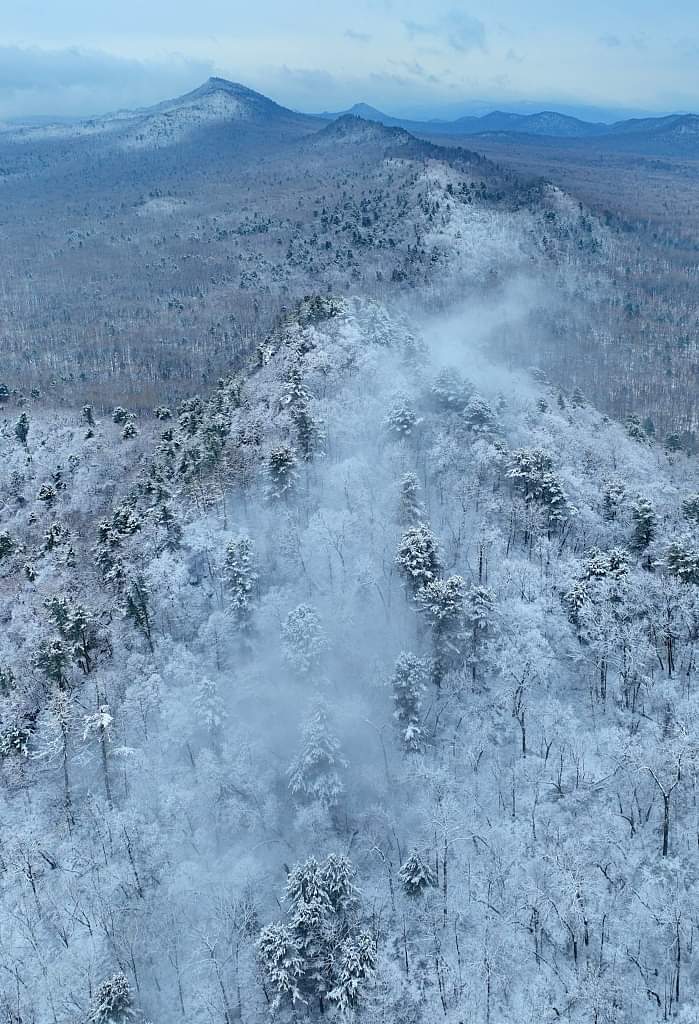 views_Icon's tweet image. 