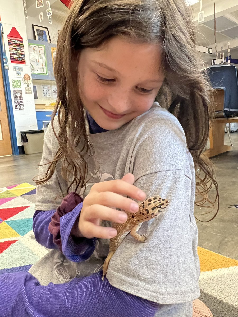 Sketch our now 4 year old leopard gecko was so thrilled to get time with her Trimmer students.  These lucky 4th and 5th graders cashed in DOJO points for some quality time with Sketch!
#AwesomestARTsHERE #TrimmerArt
#WYPROUD
@PetsinClassroom @wyasdblue