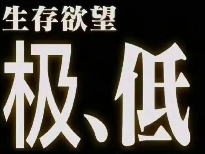 葉拾玖 tweet media