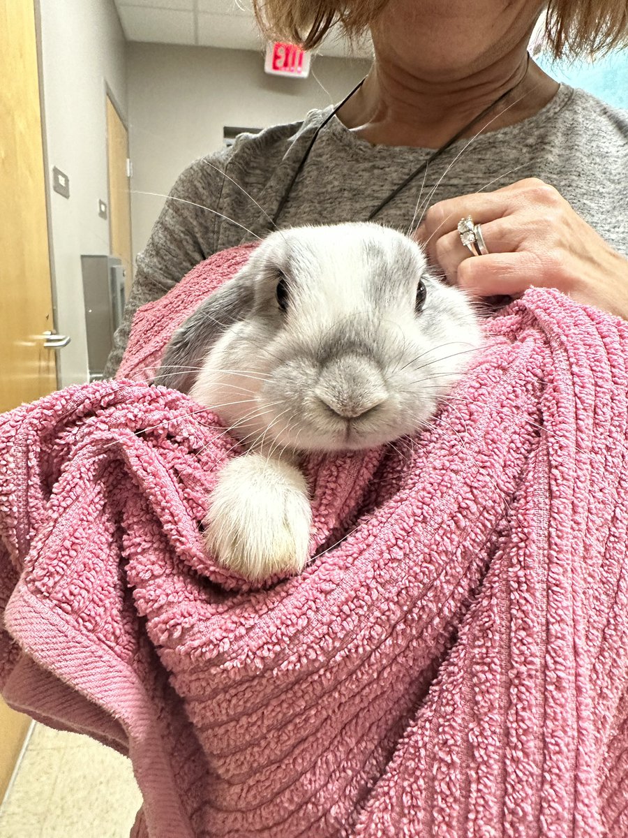 Jennifer Edelblute-Caggia tweet media