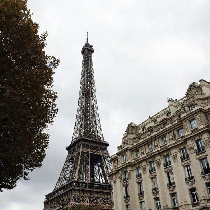 sunstudytwt's tweet image. Français✨