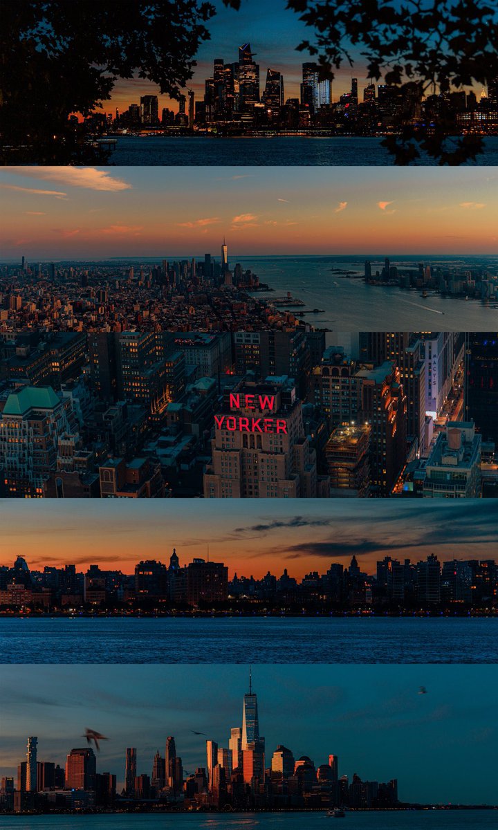 photos I took in nyc