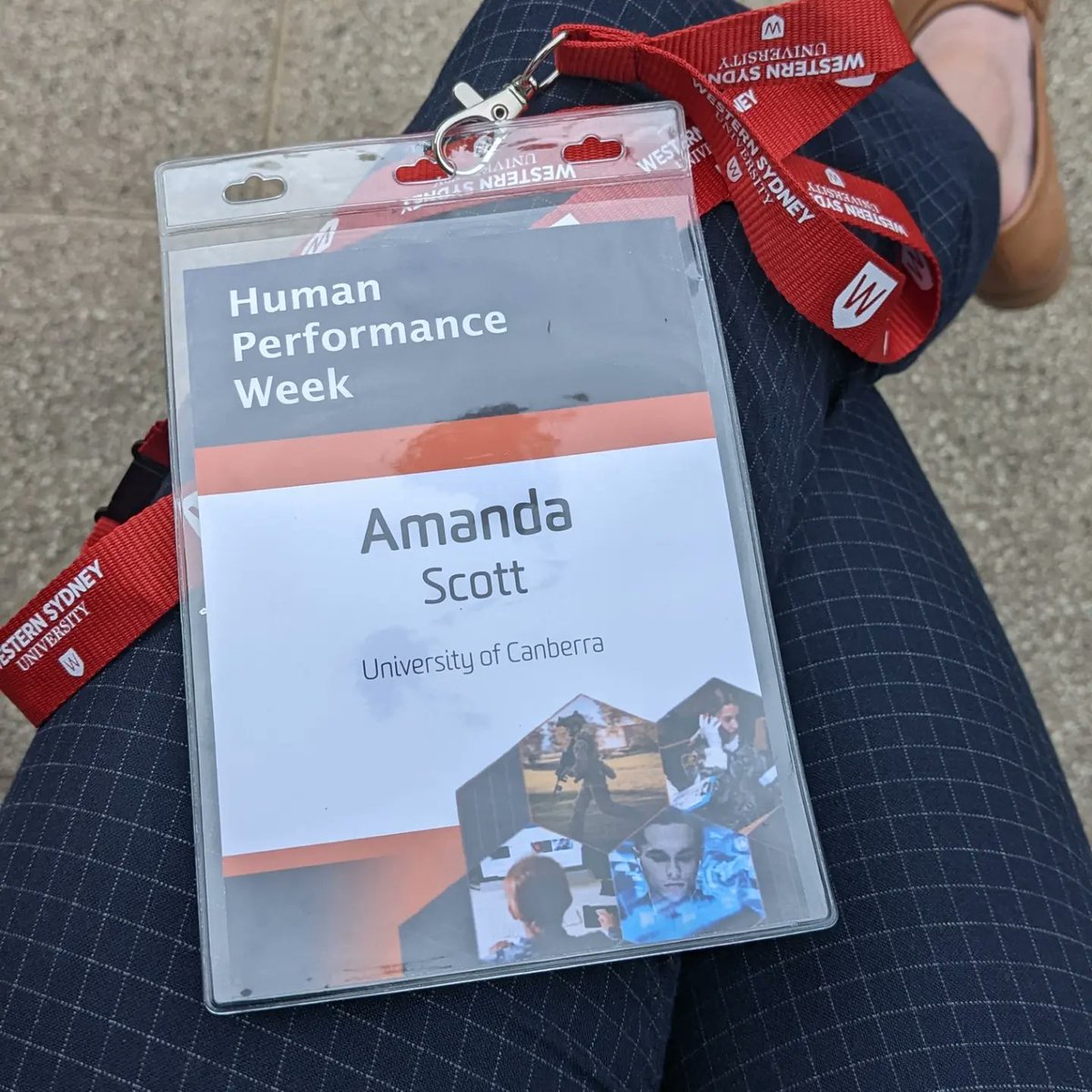 Amanda Scott tweet media