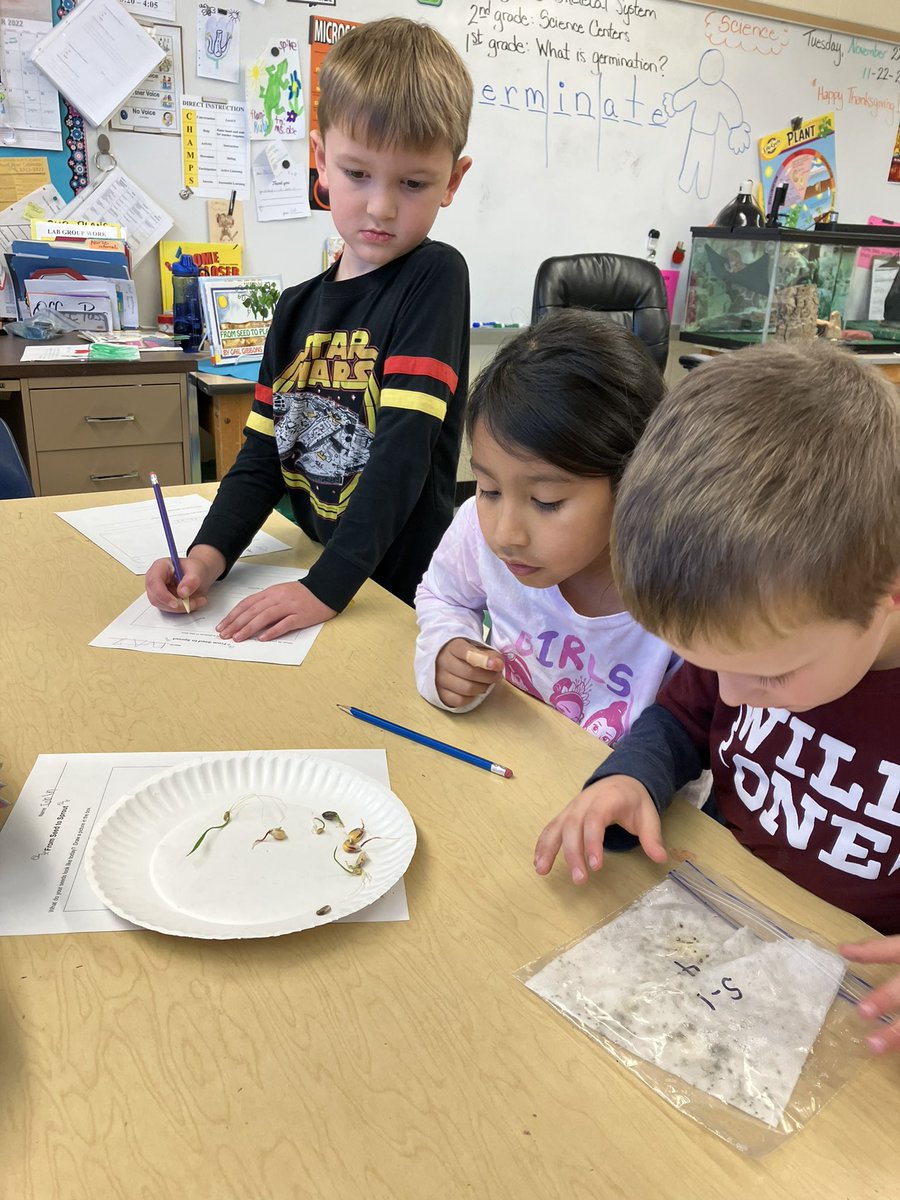 ZerrinOelze's tweet image. Love the wonder of elementary science!
#WPSignitelearning
#WPSproud 
#PAEMST