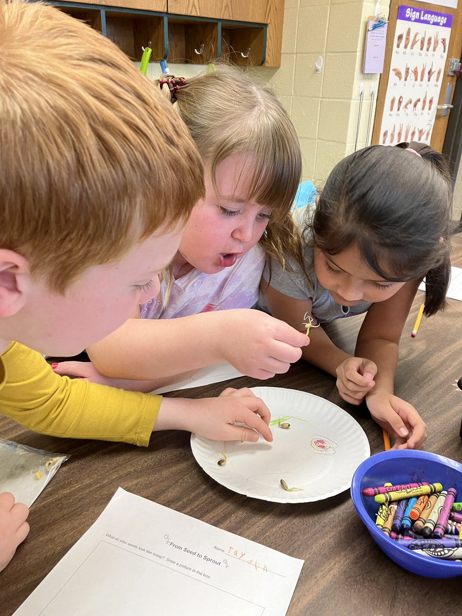 ZerrinOelze's tweet image. Love the wonder of elementary science!
#WPSignitelearning
#WPSproud 
#PAEMST