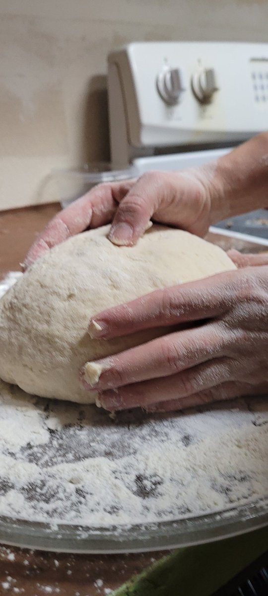 bakedbluntbroad's tweet photo. Kneaded, balled, oiled up, one more rest then #baketime #bakednakedfoodie #bread #Food #Foodie #makeyourown https://t.co/jBIxUPlQYl