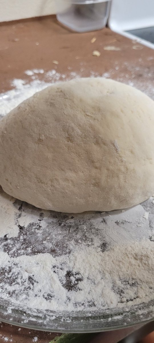 bakedbluntbroad's tweet photo. Kneaded, balled, oiled up, one more rest then #baketime #bakednakedfoodie #bread #Food #Foodie #makeyourown https://t.co/jBIxUPlQYl