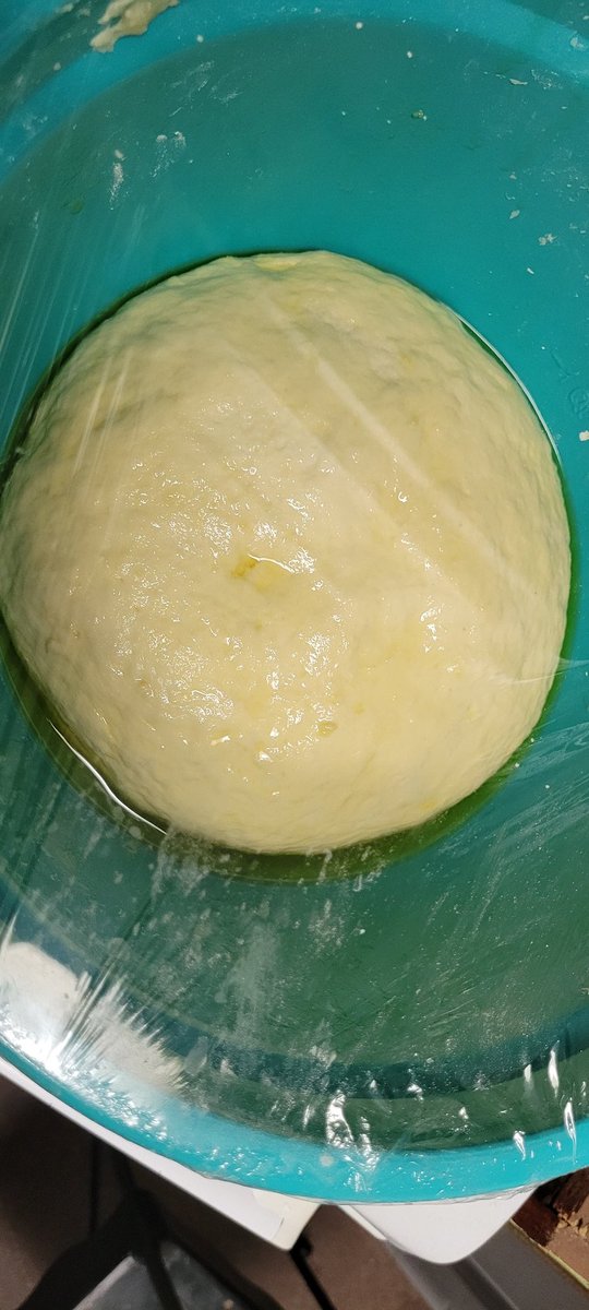 bakedbluntbroad's tweet photo. Kneaded, balled, oiled up, one more rest then #baketime #bakednakedfoodie #bread #Food #Foodie #makeyourown https://t.co/jBIxUPlQYl