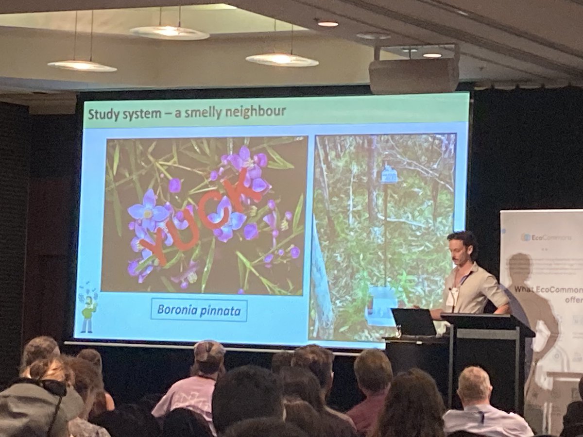 So lucky to see <a href="/Patt_Finnerty/">Patt Finnerty</a>’s plenary talk today! Some incredible work on certain plant odours deterring herbivores from other, less pungent flora #ESASCBO2022