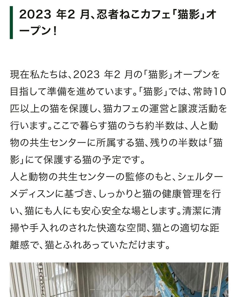schanze111's tweet photo. 現在、シャンツェでは
岐阜市のガバメントクラウドファンディング型ふるさと納税で
2月にオープン予定の #保護猫カフェ
『猫影』のご支援を募集しています。

節税にもなり猫ちゃんも助かる
素敵な仕組み！
今年の #ふるさと納税 は
【#岐阜市】にお願いします🤲

https://t.co/HegiziJht1

#保護猫 https://t.co/xyRO1onKET