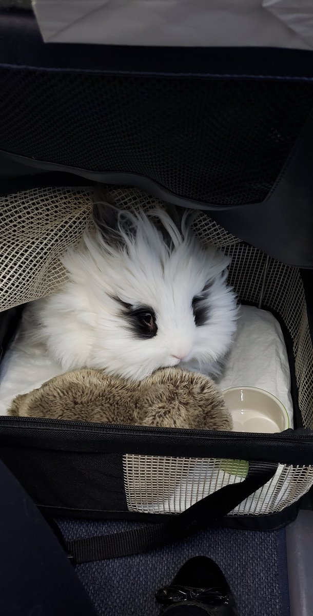 Luality on Twitter: "We are inside the plane!!"